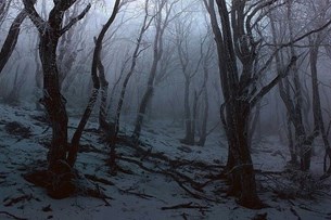 8 χιονισμένα τραγούδια