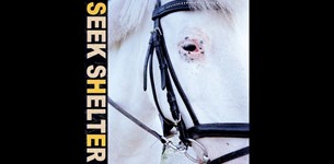 Iceage - Seek Shelter