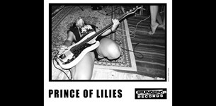 Οι Prince Of Lilies κυκλοφόρησαν το βίντεο The Year I Broke
