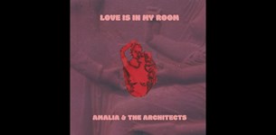 Amalia And The Architects - Love is in my room