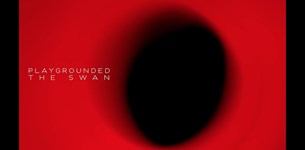 Playgrounded - The Swan