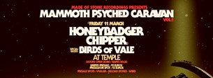 Honeybadger, Chipper & Birds Of Vale, 11/03/2022 @Temple