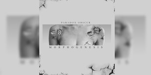 Paradox Obscur - Animal Reactor
