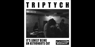 Triptych - It΄s Lonely Being An Astronauts Cat