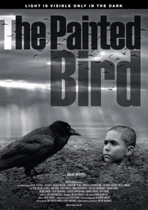 Vaclav Marhoul - The Painted Bird