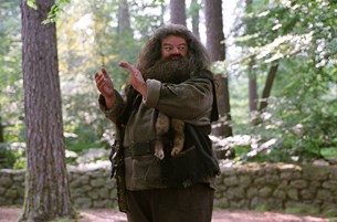 Έφυγε από τη ζωή ο Robbie Coltrane. . . 