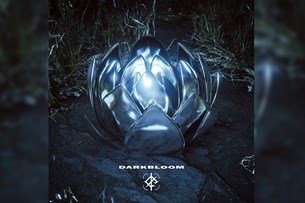 We Came As Romans : Darkbloom | Album Review
