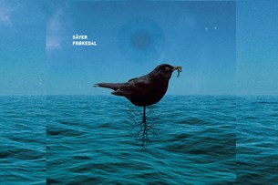 Frøkedal / Sâver - Split EP | Album Review