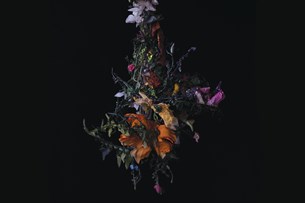 BIG|BRAVE : Nature Morte | Album Review